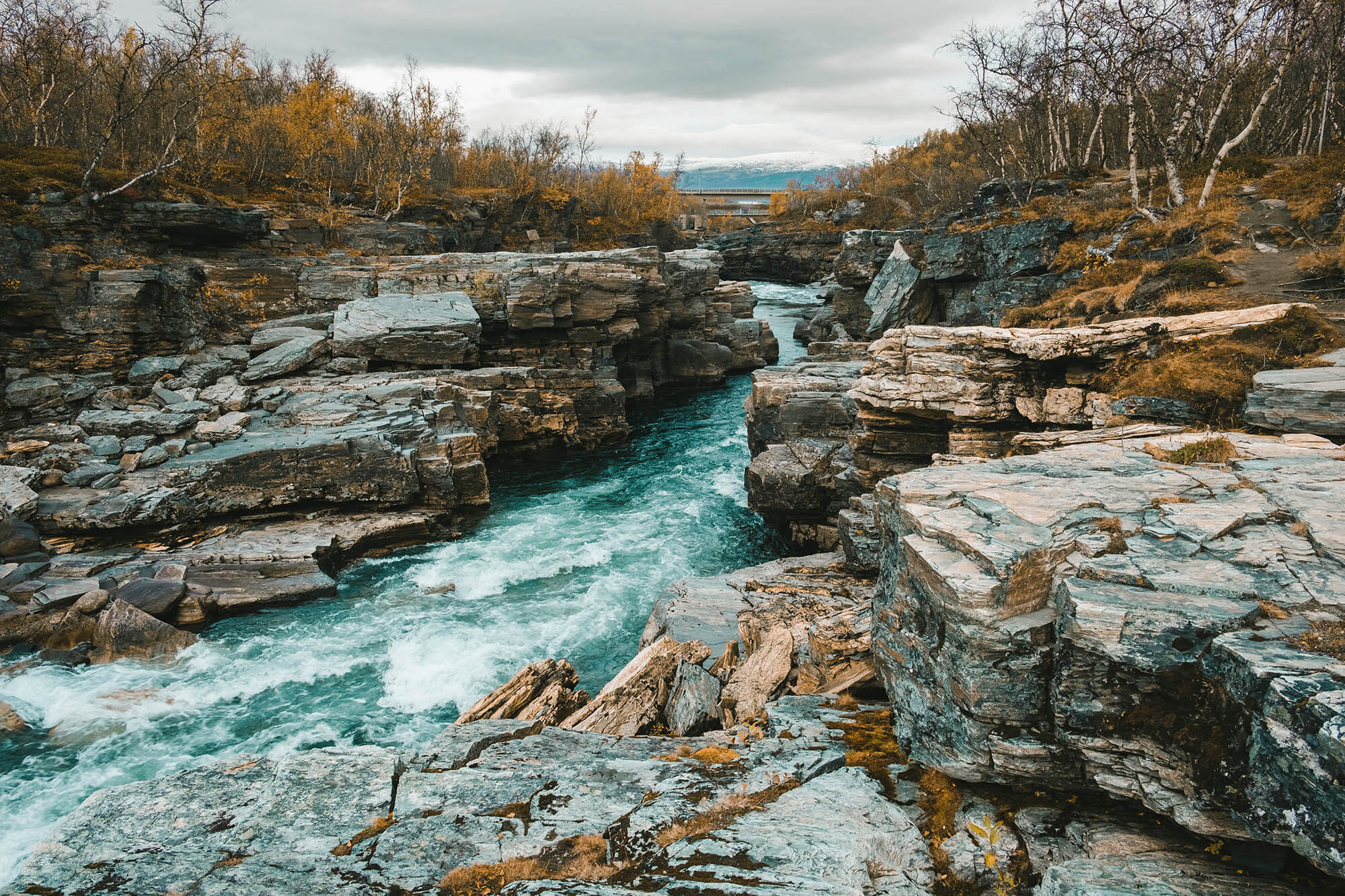 Francoise Mastroianni-Additional Experience