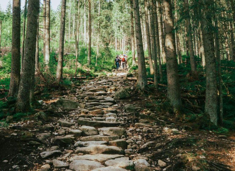 Francoise Mastroianni - You Become